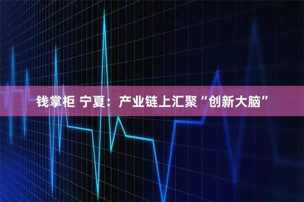 钱掌柜 宁夏：产业链上汇聚“创新大脑”